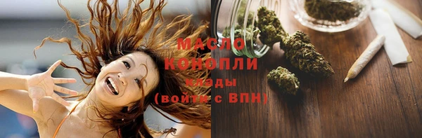 шишки Вяземский