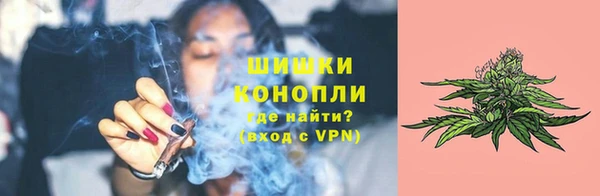 прущие крисы Бородино