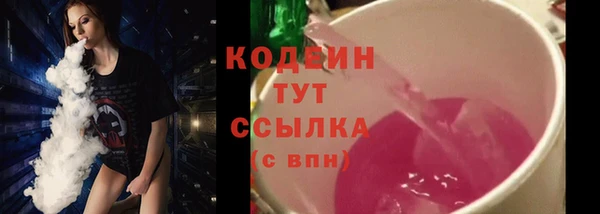 шишки Вяземский