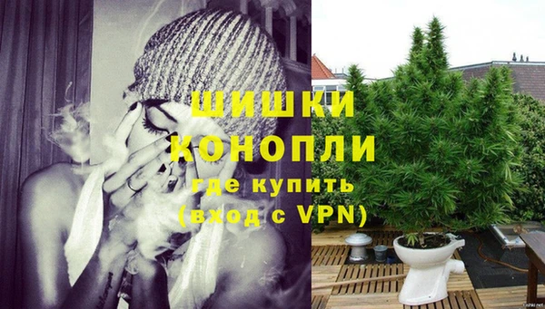 шишки Вяземский
