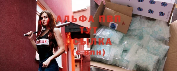 шишки Вяземский